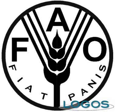 Attualità - FAO