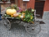 Santa Maria Maggiore - Fuori di Zucca 2010.3