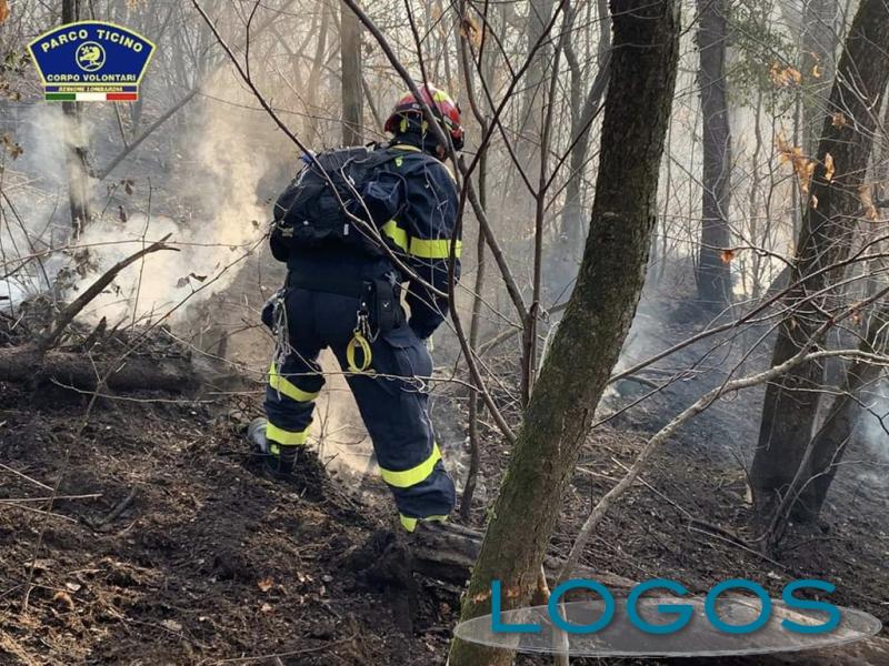 Territorio - Incendi nel Parco del Ticino, Somma febbraio 2020