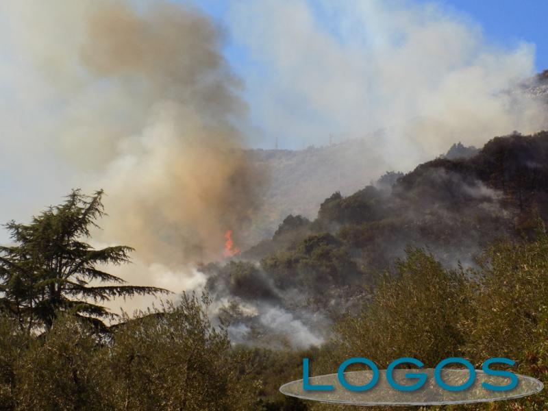 Generica - Incendio nei boschi (foto internet)