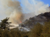 Generica - Incendio nei boschi (foto internet)