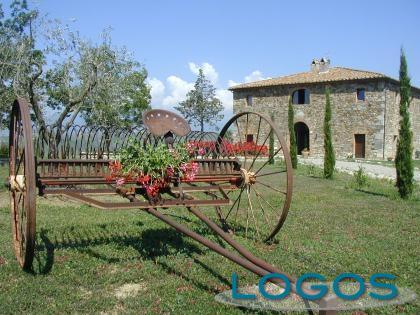 Attualità - Agriturismo (Foto internet)