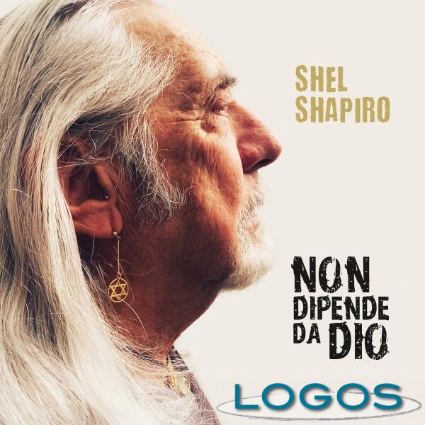 Musica - Shel Shapiro