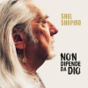 Musica - Shel Shapiro