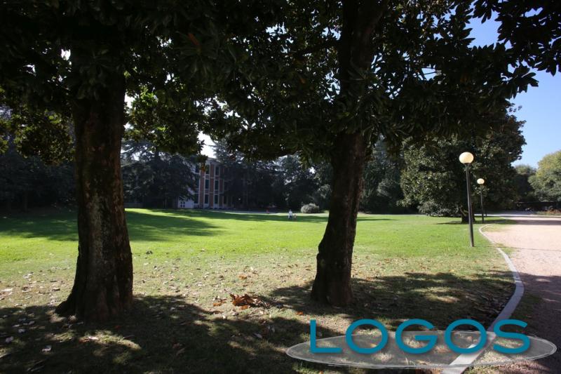 Scuole - Liuc: il parco 