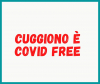 Cuggiono - Cuggiono 'Covid free' 