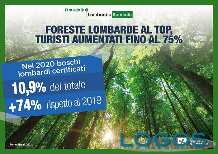 Territorio - Foreste per il turismo 