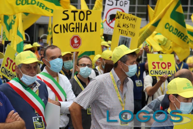 Milano - Cinghiali: agricoltori in piazza 