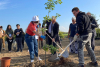 Milano / Ambiente - Piantumazione alberi 