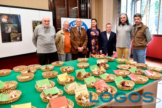 Legnano - Mostra di funghi 