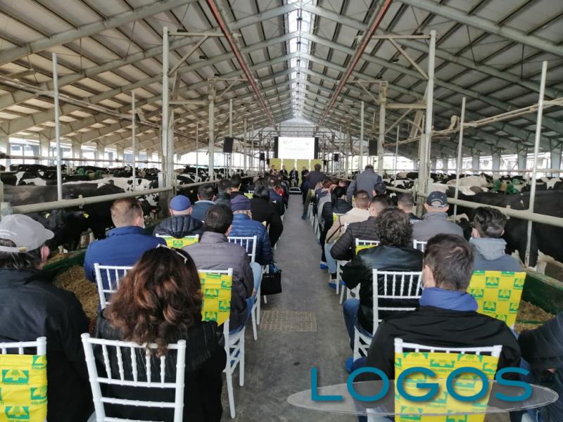 Territorio - Seminario biologico e biogas 