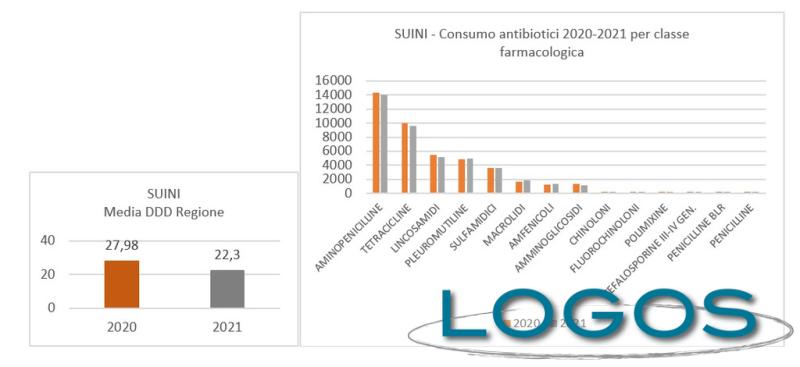 Milano / Territorio - Antibiotici in zootecnia 