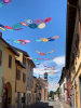 Castano - Tanti cerchi colorati sospesi in cielo in corso San Rocco 