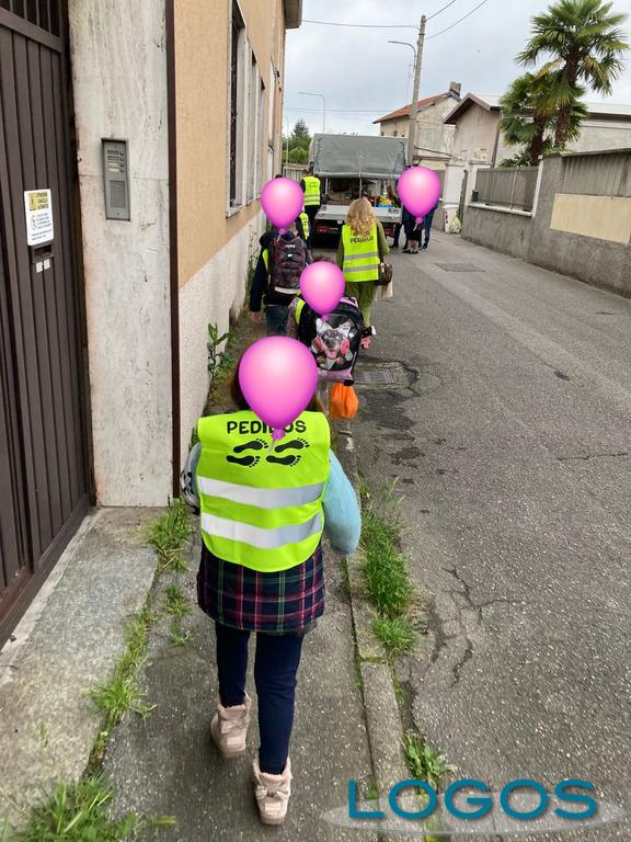 Scuole / Busto Arsizio - Pedibus 