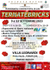 Eventi - 'Ternate Bricks' 