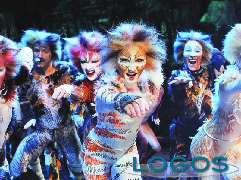 Eventi - 'Cats' 