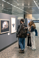 Malpensa / Eventi - La mostra 