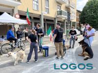 Castano / Eventi - La passeggiata con i cani 