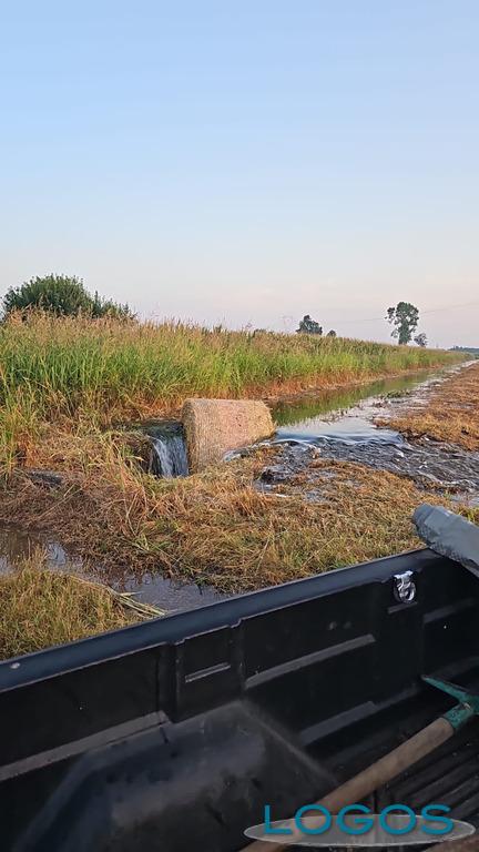 Territorio - Gli atti vandalici sul canale 