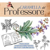 Cultura - La Caramella del Professore