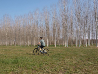 Territorio - Ebike nel Parco del Ticino